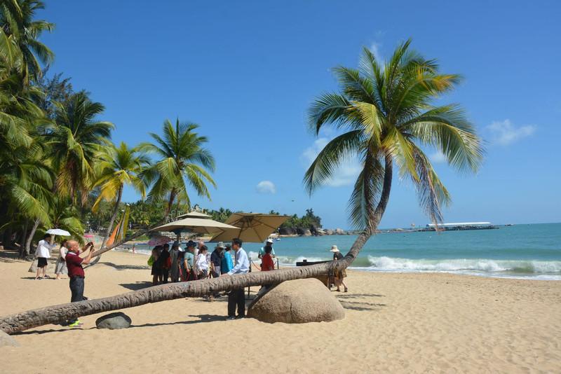 海南小巷深处的秘密花园,揭秘特色小店藏匿之地