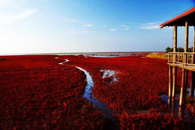 盘锦,地方文化与经济发展的独特融合之旅